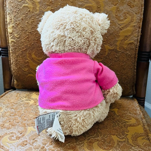 🎀GUND🐻 “I’m the Big Sister” Bear - Picture 3 of 5